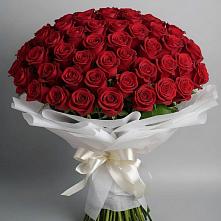 Букет 101 Красная роза Блэк Мэджик в Рассвете Ростовской области