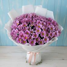 Букет цветов из:  Хризантемы в Рассвете Ростовской области
