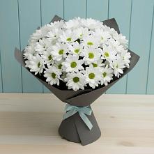 Букет цветов из:  Хризантемы в Рассвете Ростовской области