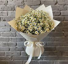 Букет цветов из:  Ромашки #REPLACE_PRED# Рассвете Ростовской области