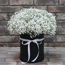 Цветочная композиция из Гипсофила в шляпной коробке #REPLACE_PRED# Рассвете Ростовской области