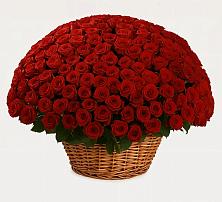 Премиум букет из: Розы #REPLACE_PRED# Рассвете Ростовской области